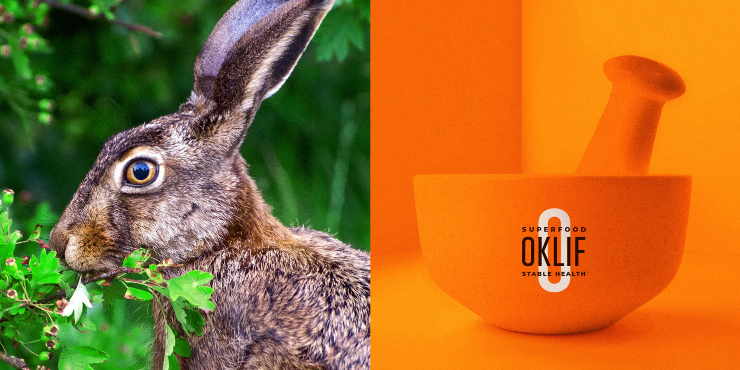 Hare and OKLIF superfood