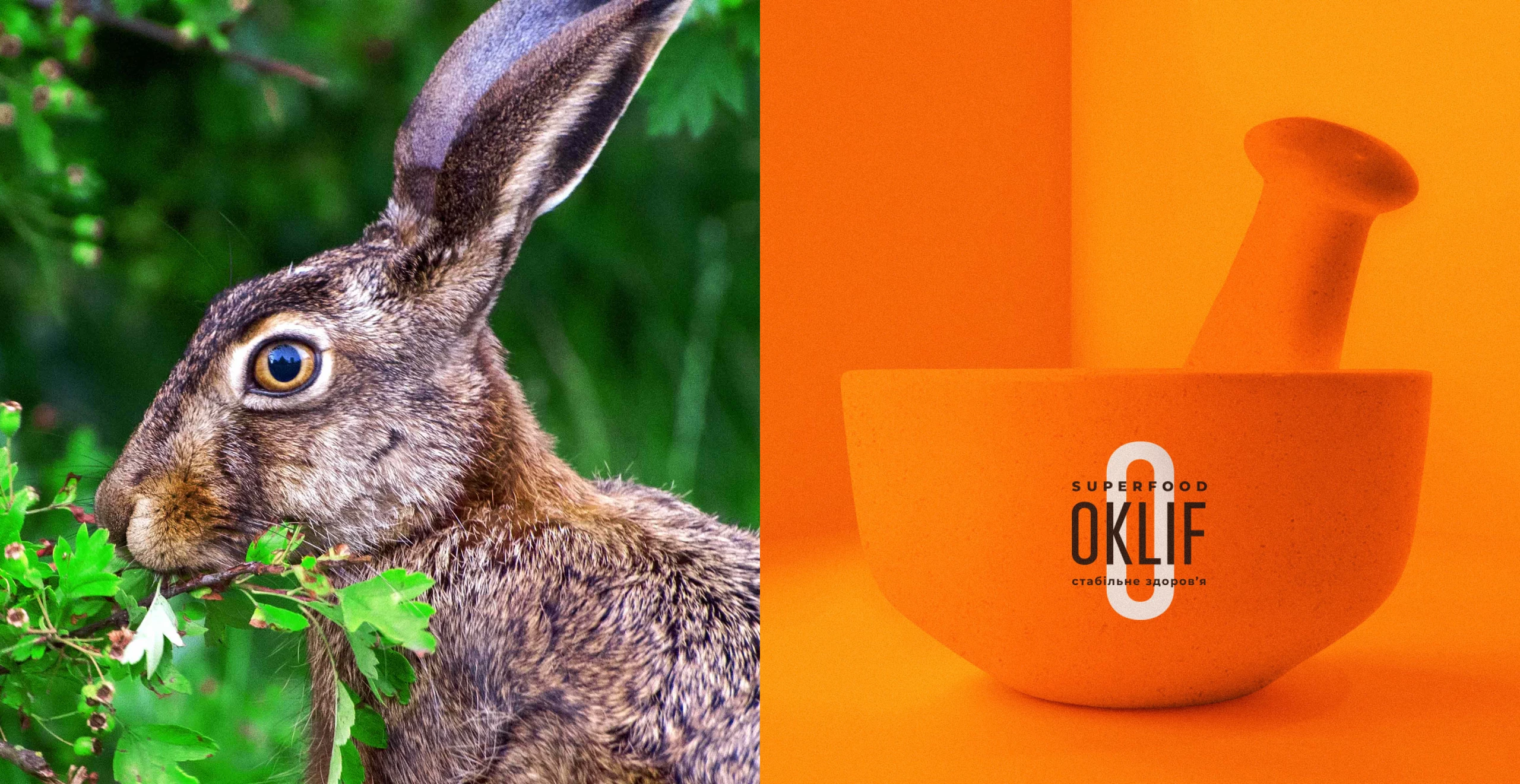 Oklif Superfood для тварин