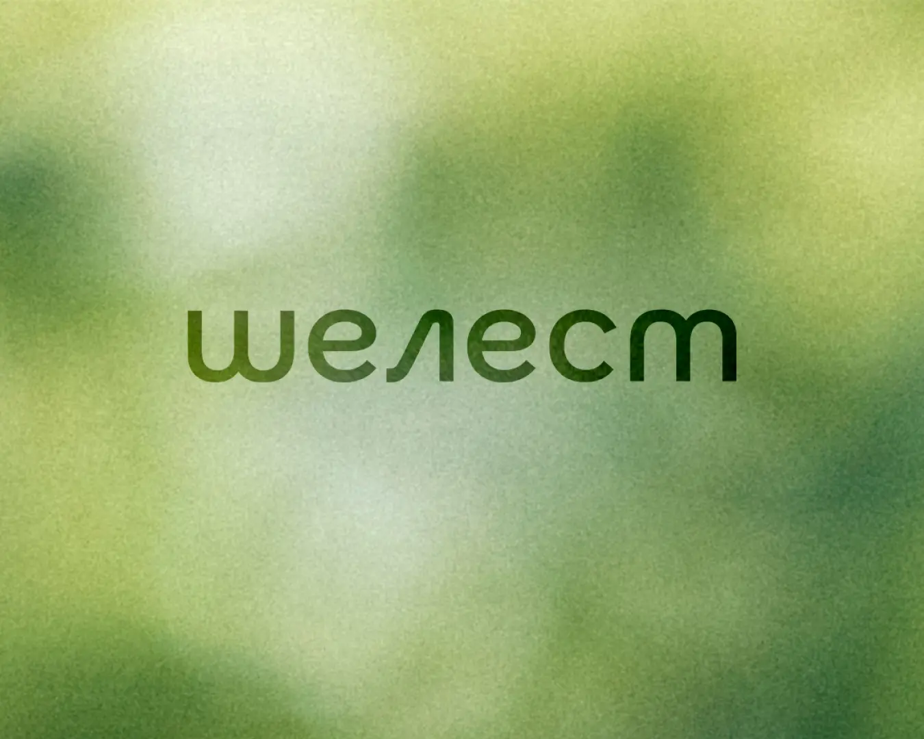 Shelest residential complex logo on a blurred green foliage background