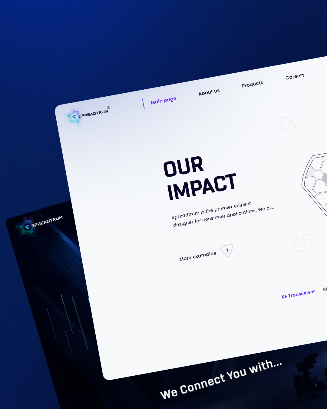 Web development