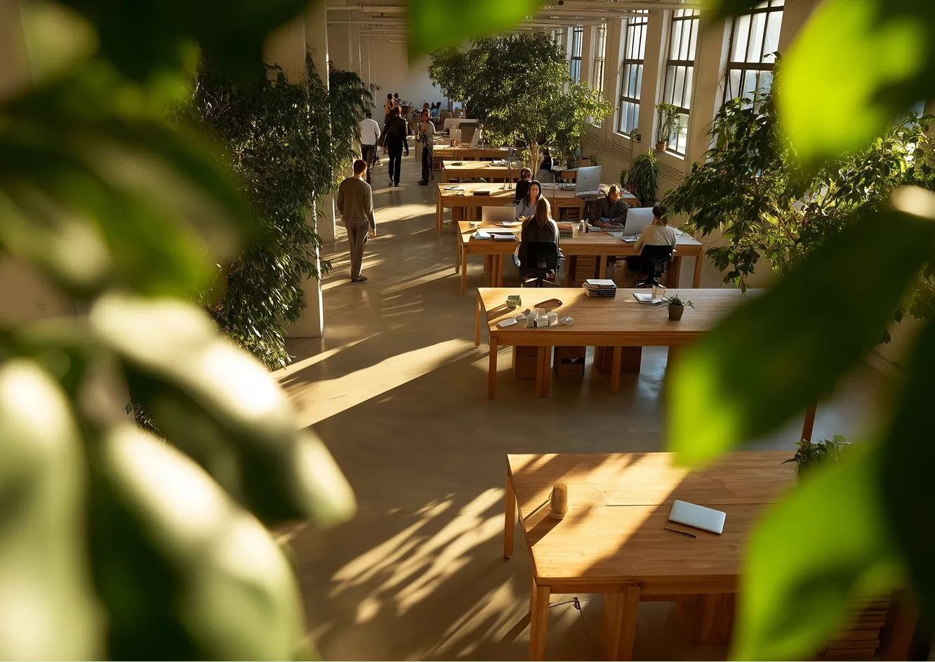 Sunlit open-plan office with wooden desks, seen through plant leaves