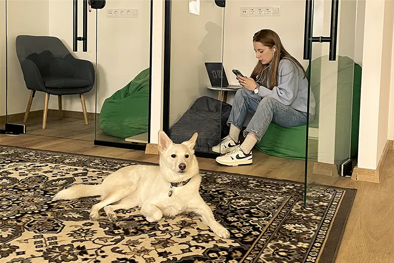 Office dog on a rug while a Bambuk team member works from a beanbag