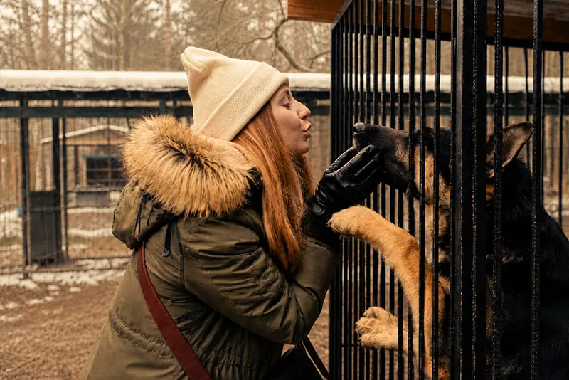 Volunteer in a winter coat greeting a dog through an animal shelter enclosure